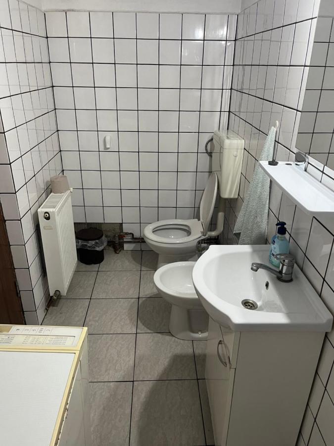 Casa Lucian Lägenhet Cîrţişoara Exteriör bild