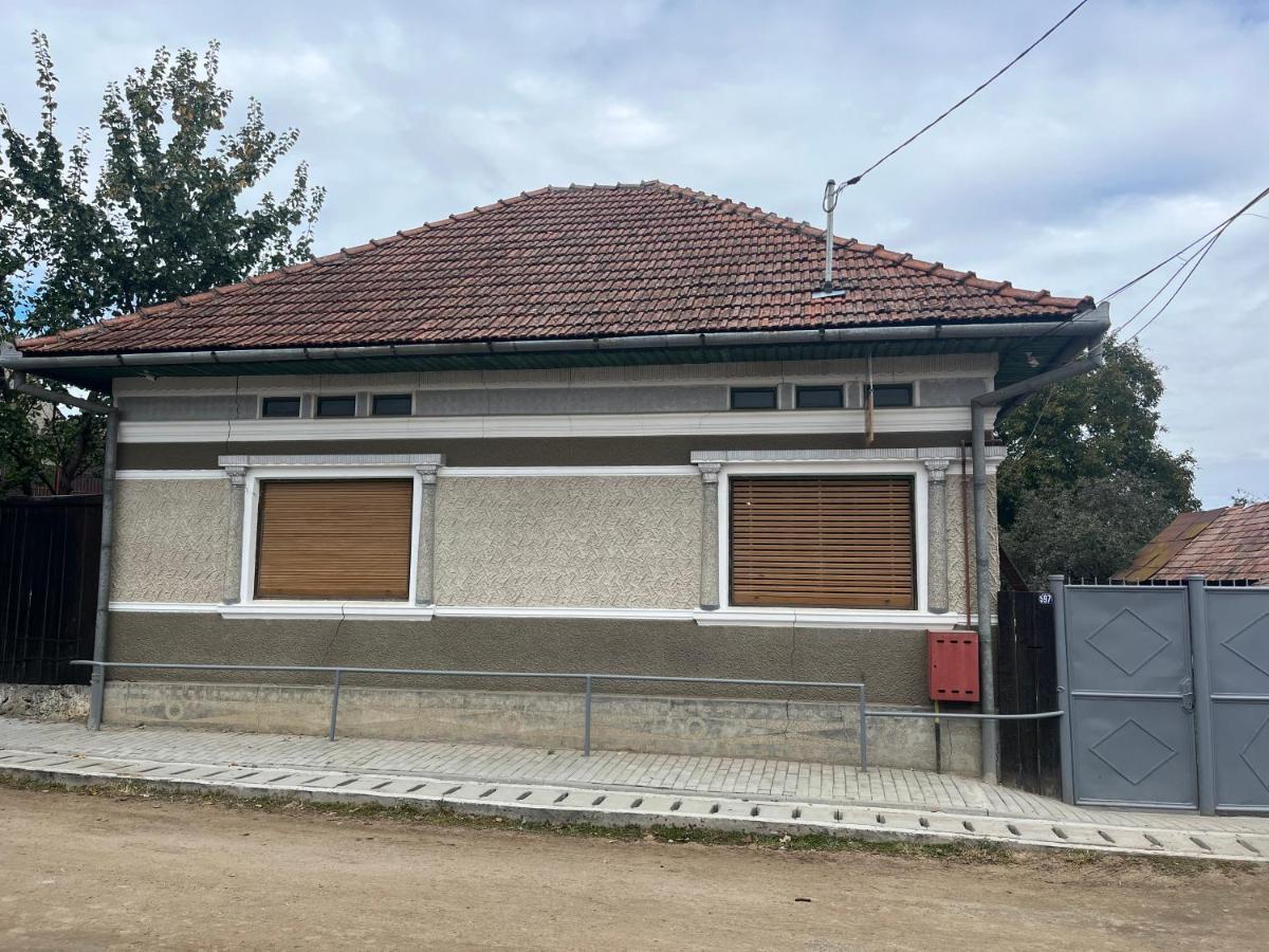 Casa Lucian Lägenhet Cîrţişoara Exteriör bild
